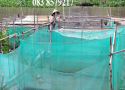 Lưới Nuôi Cá Lưới Vèo Nhốt Cá