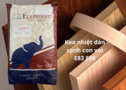 Keo  E88 & E83 : An toàn – Bền bỉ 4