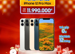 Flash Sale iPhone 12 Pro Max Like New