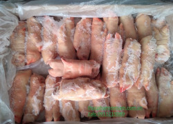 Chân Giò Heo Đông Lạnh Nhập Khẩu - Bảng Giá Thịt Lợn Đông Lạnh