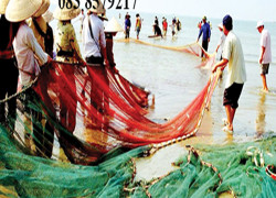 Lưới Kéo Cá Lưới Vét Cá Lưới Quay Cá Nguyễn Út