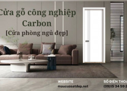 Cửa Gỗ Công Nghiệp Carbon [Cửa phòng ngủ đẹp]
