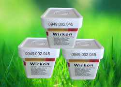 Wirkon - Diệt khuẩn an toàn phổ rộng