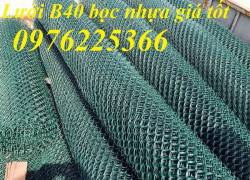 Lưới thép bọc nhựa b40