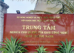 Tuyển NV công nghệ thông tin, học sinh , sinh viên mới ra trường làm tại Trung tâm Tăng Trưởng Xanh