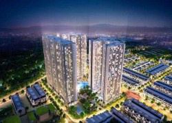 Bán chung cư đẳng cấp vinhomes thanh hóa lh 0973969059