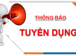 TUYỂN DỤNG - NHÂN VIÊN NHẬP LIỆU WEBISTE