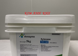 XYLANASE FXY-100 enzyme xử lý nước và hỗ trợ tiêu hoá