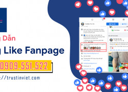 Dịch vụ tăng like follow Facebook uy tín nhất hồ chí minh