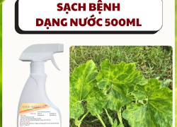 Chai Dung Dịch Pha Sẵn Trừ Nhện Đỏ, Bọ Trĩ , Rầy Rệp Trên Hoa Hồng, Cây Cảnh - An Toàn,  500ml