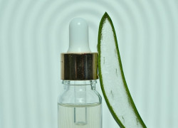 Dưỡng ẩm và bảo vệ da bằng chiết xuất lô hội (nha đam) Biogreen