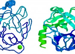 Bán enzyme Trypsin hàm lượng 2000U/g giá tốt