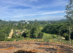 Bán đất 2100m2 có 500m2 thổ cư Thôn Dy, Minh Quang, Làng nghỉ dưỡng 2.2tr/m2