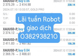 Lãi của Robot giao dịch (8-12/07/2024)