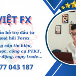 Việt FX