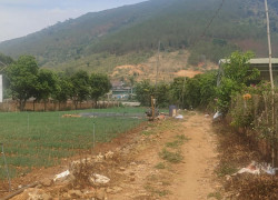 Tổng 4200m2 đất mặt tiền ql20, hiệp an đức trọng, gần khu làng gà