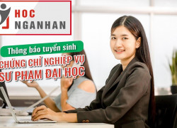 Nâng Cao Kỹ Năng Giảng Dạy Với Khóa Học Nghiệp Vụ Sư Phạm Đại Học