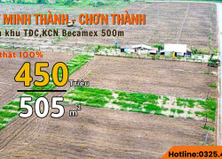 Em đang còn 10 lô đất vườn trồng mít kế bên KCN Becamex 505m2 giá rẻ nhất khu vực