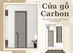 Cửa Nhựa Carbon- Cửa Phòng Ngủ Tại Bình Thạnh