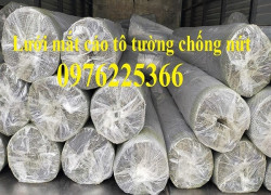 Lưới thép trát tường chống nứt tại Hà Nội