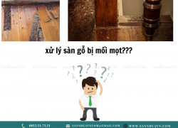 5 cách Xử lý sàn gỗ bị mối mọt nhanh hiệu quả nhất