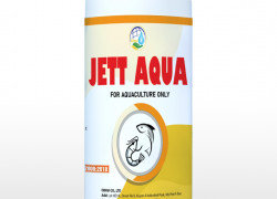 JETT AQUA - Thảo dược kháng khuẩn, tăng cường miễn dịch hệ tiêu hoá cho tôm