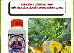 Phân bón vi lượng Ami Grow