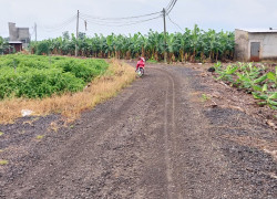 Cần bán 1000m, quy hoạch đất Thương Mại Dịch Vụ, xác bên hồ Trị An, xã Thanh Bình