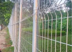Hàng rào mạ kẽm nhúng nóng D5a50x200