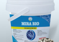 MIRA BIO - Vi sinh dạng viên giúp xử lý nước và đáy ao, phân huỷ mùn bã hữu cơ, xử lý khí độc trong ao nuôi