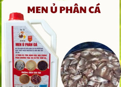 Ủ PHÂN CÁ , BÁNH DẦU, VỎ CÀ PHÊ, CAN 2 LÍT