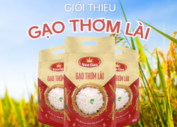 Gạo Thơm Lài