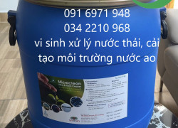 Mua bán sỉ men vi sinh xử lý nước thải, gốc rạ, lá cây MICROCLEAN