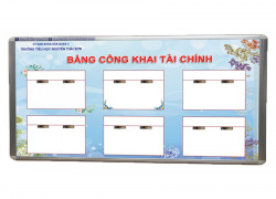 Bảng công khai tài chính