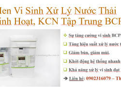 Men vi sinh BCP50 xử lý nước thải KCN tập trung