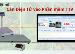 Kết nối cân điện tử với phần mềm quản lý doanh nghiệp