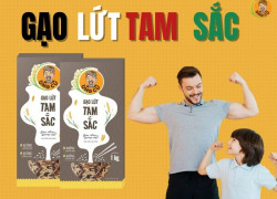 GẠO LỨT TAM SẮC LÀ GÌ? NHỮNG LỢI ÍCH CỦA GẠO LỨT TAM SẮC