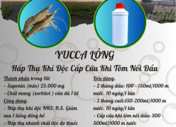 YUCCA LỎNG Hấp Thụ Khí Độc Cấp Cứu Khi Tôm Nổi Đầu giá  5 lít