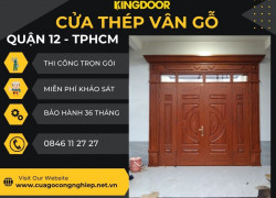 Giá cửa thép vân gỗ tại Quận 12