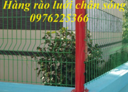 Sản xuất hàng rào lưới thép hàn, lưới hàng rào chắn sóng