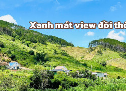 13 LÔ ĐẤT ĐẦU TƯ | XÃ ĐÔNG THANH | HUYỆN LÂM HÀ | VEN THÀNH PHỐ DALAT