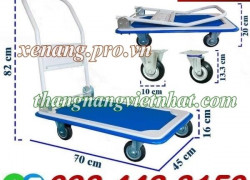 Xe đẩy hàng 150kg XTB100D