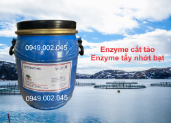 Superzyme - Enzyme cắt tảo, tẩy nhớt bạt ao nuôi