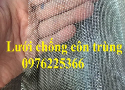 Lưới chống muỗi, lưới chống côn trùng khổ 1m, 1.2m, 1.5m