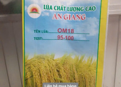 Cung cấp bao lúa giống 40kg in sẳn có lồng nilong