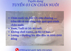 TUYỂN 03 CN CHĂN NUÔI 7-9TR +THƯỞNG ĐẾN 16TR + BAO ĂN Ở