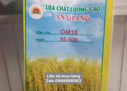 Cung cấp bao lúa giống 40kg in sẳn có lồng sẳn ni lông