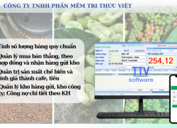 Phần mềm quản lý thu mua nông sản cafe, tiêu TTV