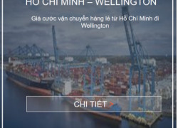 Giá cước vận chuyển hàng lẻ từ Hồ Chí Minh đi Wellington