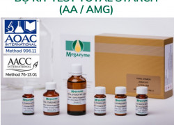 Bộ kit Total Starch (AA / AMG)